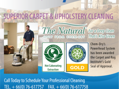 Chem-Dry Cleaning Service